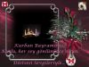 dsc_kurban8.jpg 
width="100" height="75" 
Dateigrsse: 581468 Byte 