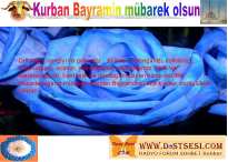 kurban_o2.jpg 
width="205" height="146" 
Dateigrsse: 67674 Byte 